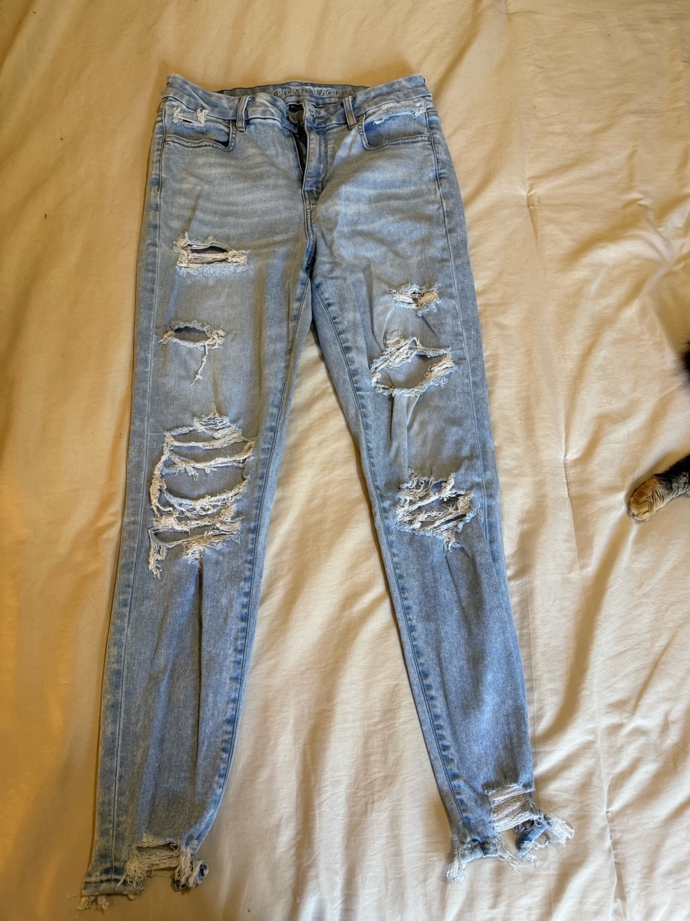 Curvy high rise jeggings